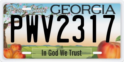 GA license plate PWV2317