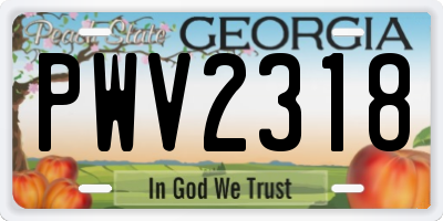 GA license plate PWV2318