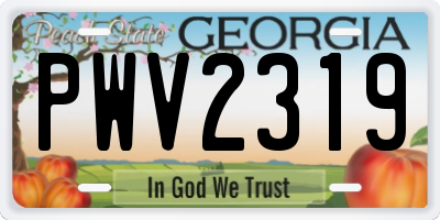 GA license plate PWV2319