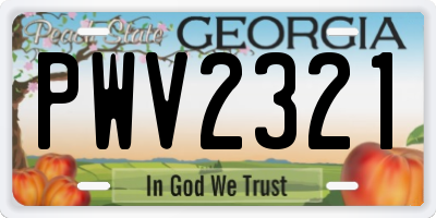 GA license plate PWV2321