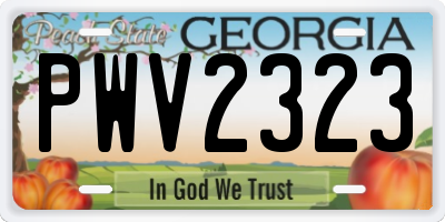GA license plate PWV2323