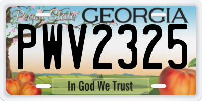 GA license plate PWV2325