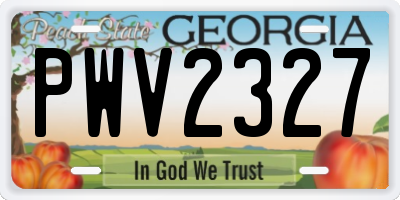 GA license plate PWV2327