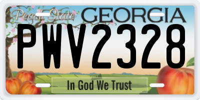 GA license plate PWV2328