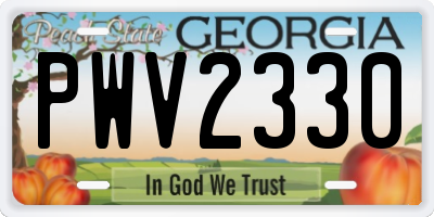 GA license plate PWV2330