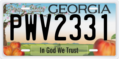 GA license plate PWV2331