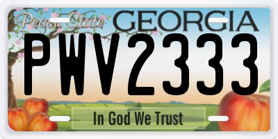 GA license plate PWV2333