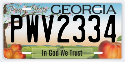 GA license plate PWV2334
