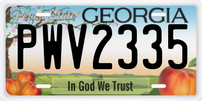 GA license plate PWV2335