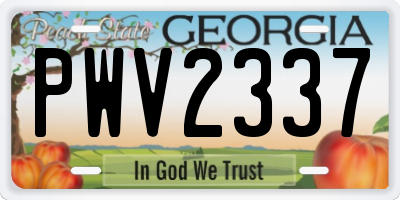 GA license plate PWV2337
