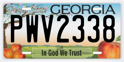 GA license plate PWV2338