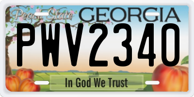 GA license plate PWV2340