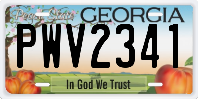 GA license plate PWV2341