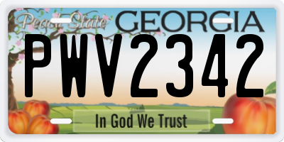 GA license plate PWV2342