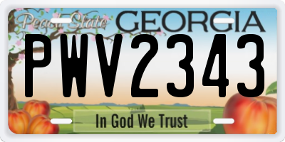 GA license plate PWV2343
