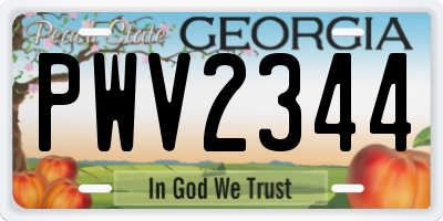 GA license plate PWV2344