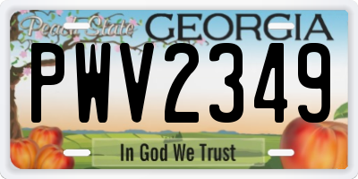 GA license plate PWV2349