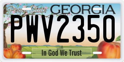 GA license plate PWV2350