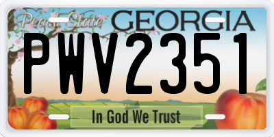 GA license plate PWV2351