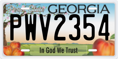 GA license plate PWV2354