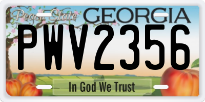 GA license plate PWV2356