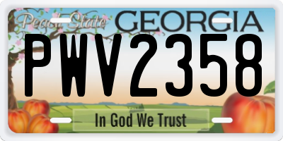 GA license plate PWV2358