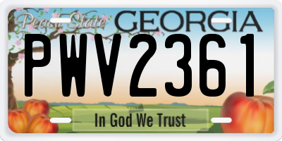 GA license plate PWV2361