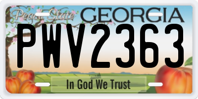 GA license plate PWV2363