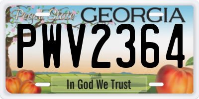 GA license plate PWV2364