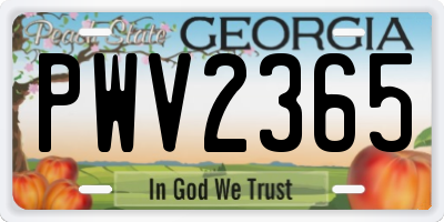 GA license plate PWV2365