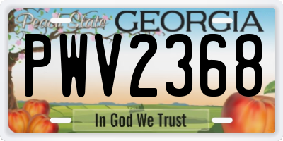 GA license plate PWV2368