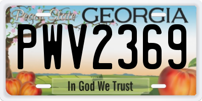 GA license plate PWV2369