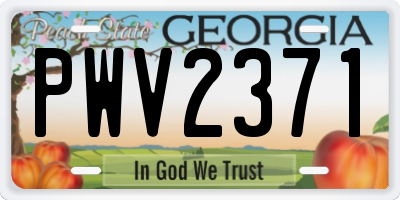 GA license plate PWV2371