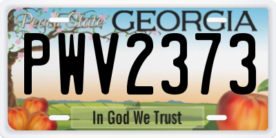 GA license plate PWV2373
