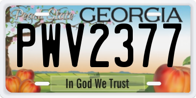 GA license plate PWV2377