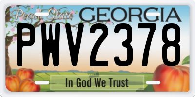 GA license plate PWV2378