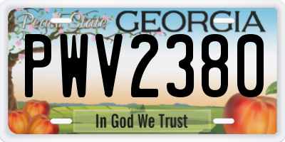 GA license plate PWV2380