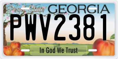 GA license plate PWV2381