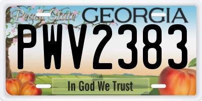 GA license plate PWV2383