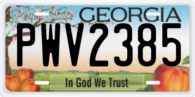 GA license plate PWV2385