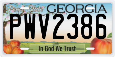 GA license plate PWV2386