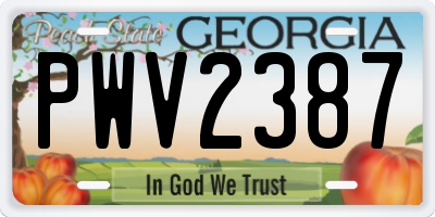 GA license plate PWV2387