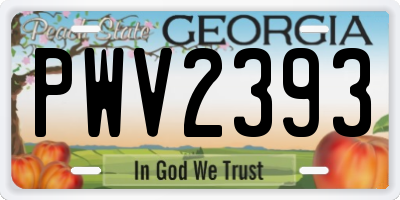 GA license plate PWV2393
