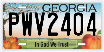 GA license plate PWV2404