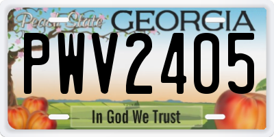 GA license plate PWV2405