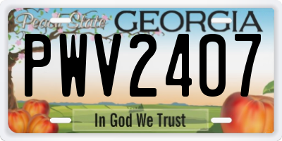 GA license plate PWV2407
