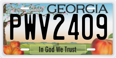 GA license plate PWV2409