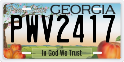 GA license plate PWV2417