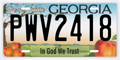 GA license plate PWV2418