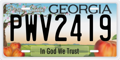 GA license plate PWV2419